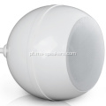 Sistema de PA Profissional Hi-Fi Pendant Speaker